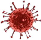 corona virus image